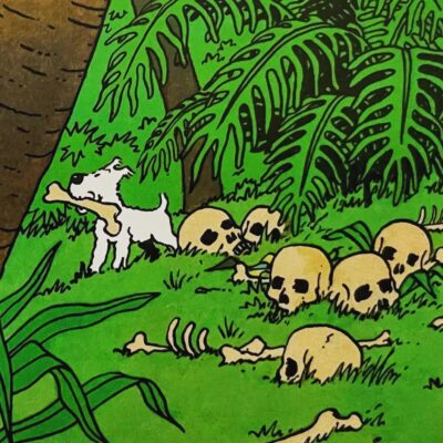 گنج های راکام وقتی که میلو در جزیره سرفرانسیس هادوک استخوان پیدا میکنه و به تن تن استخوان رو نشان می‌دهد